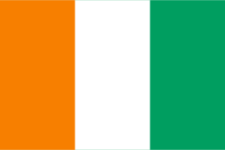 flag_ci