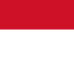 flag_mc