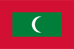 flag_mv