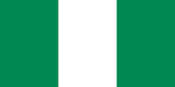 flag_ng