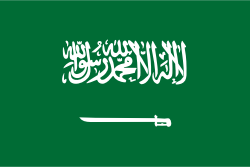 flag_sa